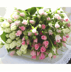 50 White Roses & Pink Mixed Spray Rose