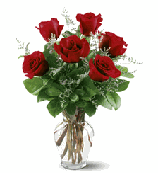 6 Red Roses