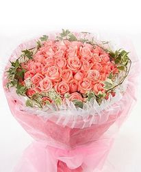 66 pink roses, with green leaves, pink packaging