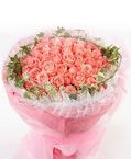 66 pink roses, with green leaves, pink packaging