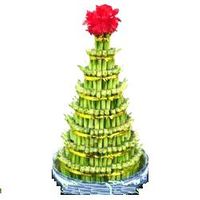 8 layered Fairy bamboo 