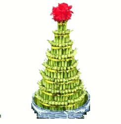 8 layered Fairy bamboo 
