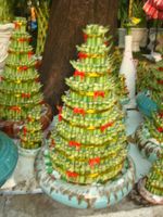 9 layer Lucky bamboo (2 pots)