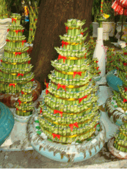 9 layer Lucky bamboo (2 pots)