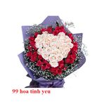 99 Hoa tinh yeu