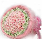 99 Pink-roses