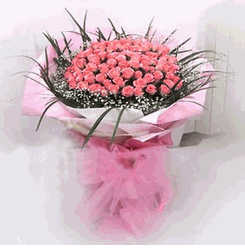 99  pink roses