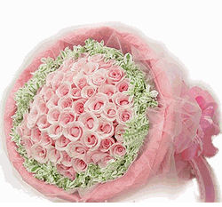 99 Pink-roses