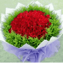 99 red rose