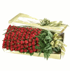 99 red rose Boxed