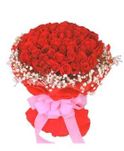 99 red roses 