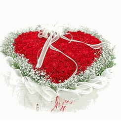 99 Red-roses Heart Shape