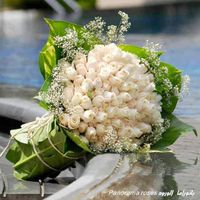 White Rose 