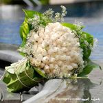 White Rose 