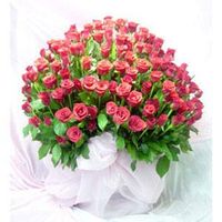 99 rose pink special