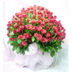 99 rose pink special