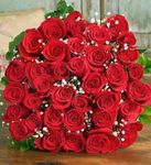 99 Roses