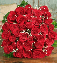 99 Roses