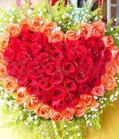   99 Roses-  Special rose Romance Her with rose