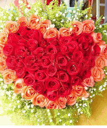   99 Roses-  Special rose Romance Her with rose