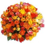 99 Roses colors