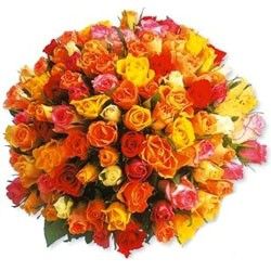 99 Roses colors