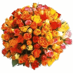 99 Roses colors