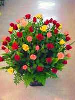 99 Roses Mixed Arranged 