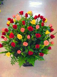 99 Roses Mixed Arranged 