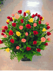 99 Roses Mixed Arranged 