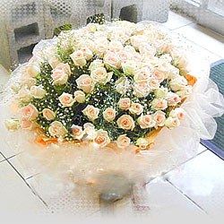  99 Roses White
