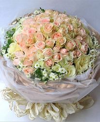 99 White Cream roses