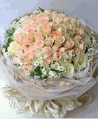 99 White Cream roses