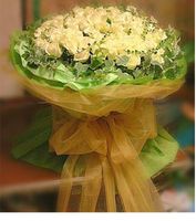 99 White Rose