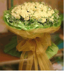 99 White Rose