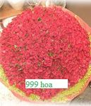 999 hoa 