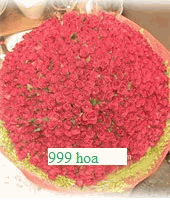 999 hoa 