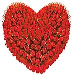 999 Red Rose Heart 