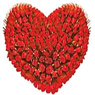 999 Red Rose Heart 