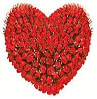999 Red Rose Heart 
