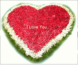 999 Red roses