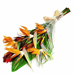 A Birds of paradise bouquet