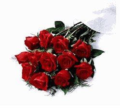  a dozen beautiful roses