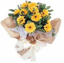 A Dozen Gerberas Bouquet