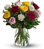 A Dozen Mixed Roses