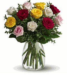 A Dozen Mixed Roses