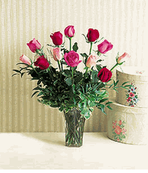 A Dozen Multi-Colored Roses