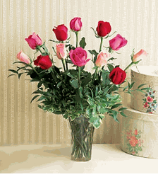 A Dozen Multi-Colored Roses-