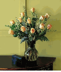 A Dozen Pale Peach 