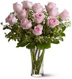 A Dozen Pink Roses 